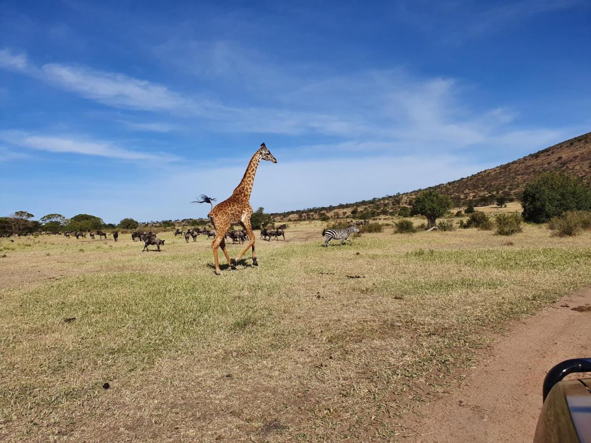 Africa Safari Lake Natron Mtowabaga Exterior foto